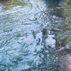 Thailand tg72024 12.jpg