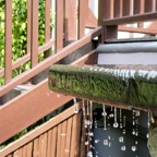 Thailand tg72024 41.jpg