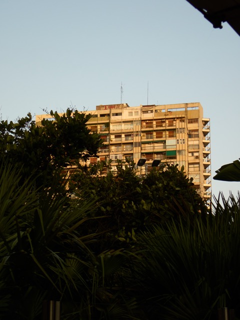 argentiona tg72024 12.jpg