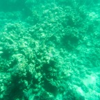 Istanbul g72024 57.jpg