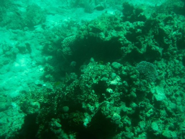 Istanbul g72024 70.jpg