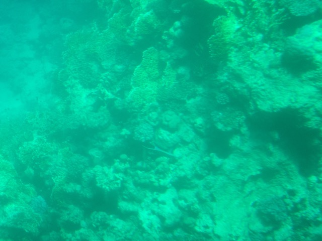 Istanbul g72024 101.jpg