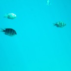 Istanbul g72024 113.jpg