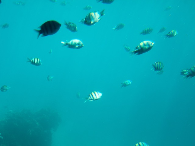 Istanbul g72024 123.jpg