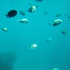 Istanbul g72024 123.jpg