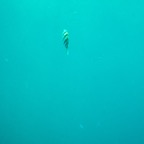 Istanbul g72024 132.jpg