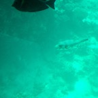 Istanbul g72024 145.jpg