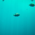 Istanbul g72024 165.jpg