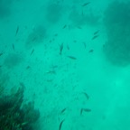 Istanbul g72024 170.jpg