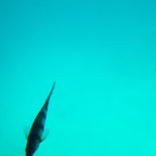 Istanbul g72024 173.jpg