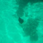 Istanbul g72024 187.jpg