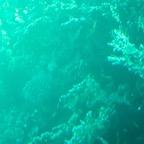 Istanbul g72024 189.jpg