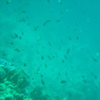 Istanbul g72024 201.jpg