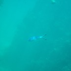 Istanbul g72024 213.jpg