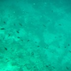 Istanbul g72024 218.jpg