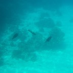 Istanbul g72024 222.jpg