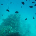 Istanbul g72024 231.jpg