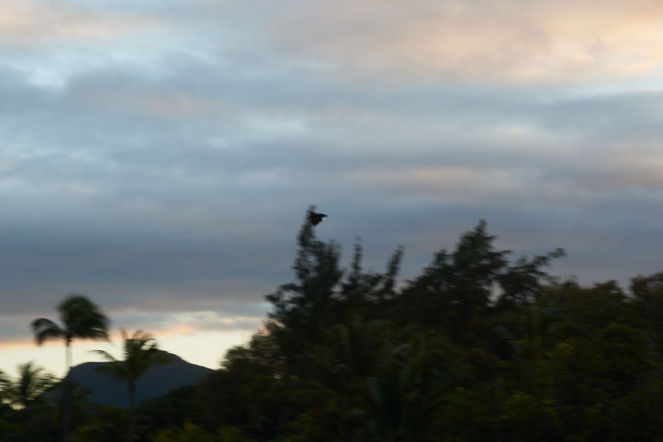 MAURITIUS sony 23.jpg