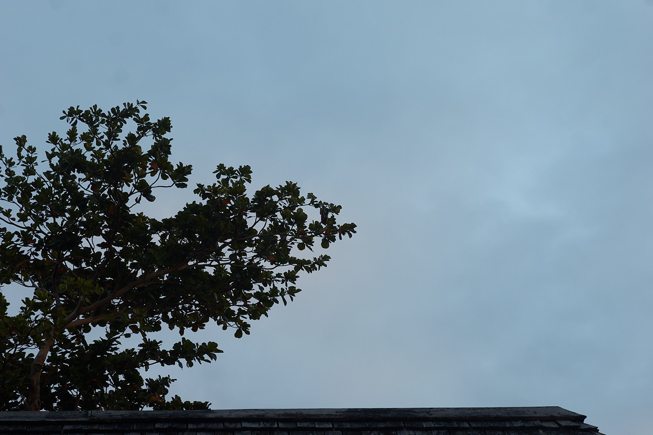 MAURITIUS sony 25.jpg