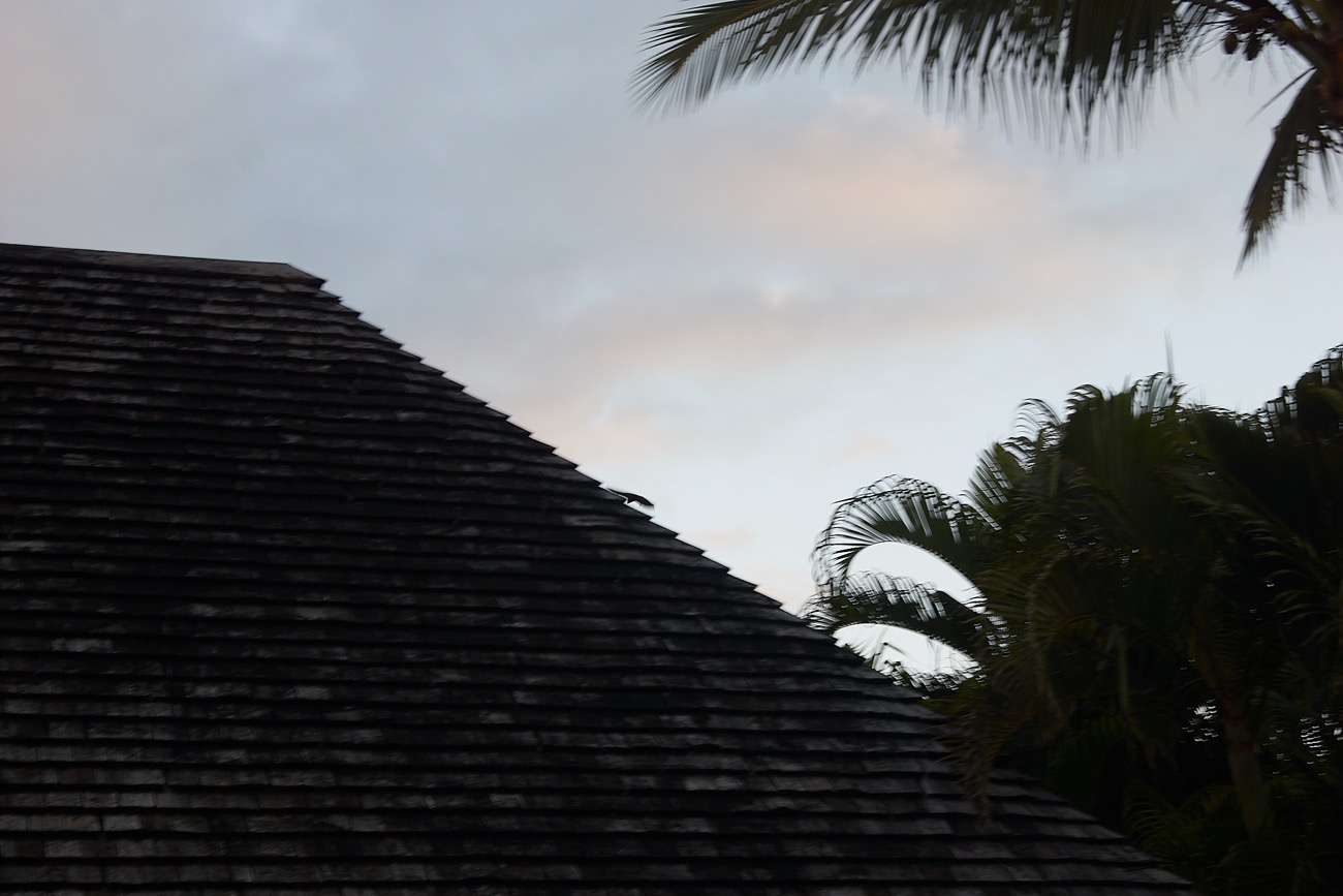 MAURITIUS sony 27.jpg