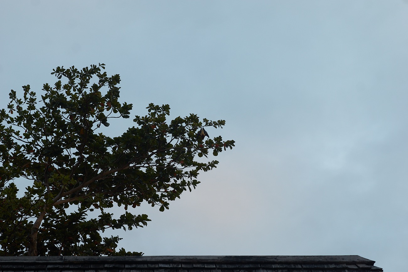 MAURITIUS sony 32.jpg