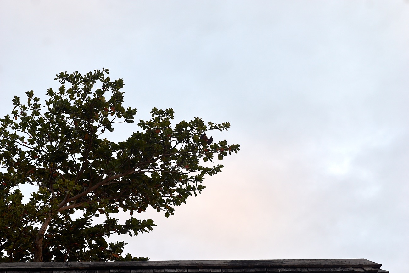 MAURITIUS sony 34.jpg