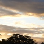 MAURITIUS sony 60.jpg