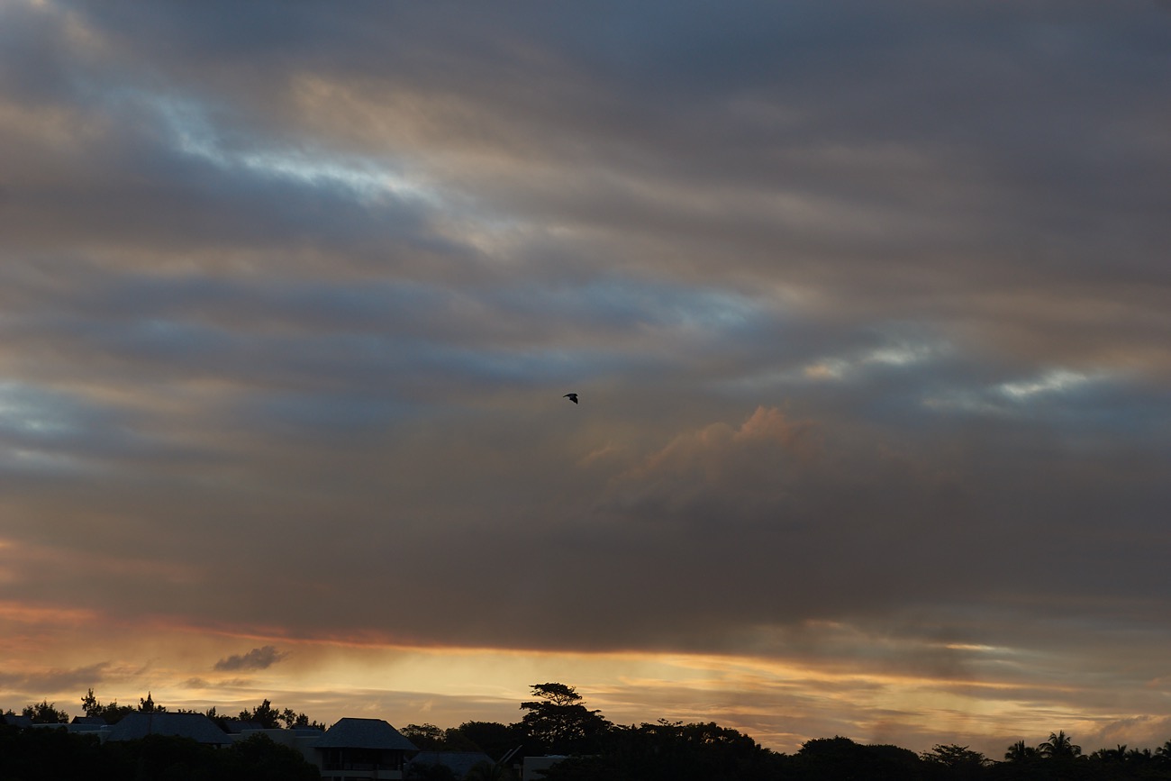 MAURITIUS sony 61.jpg