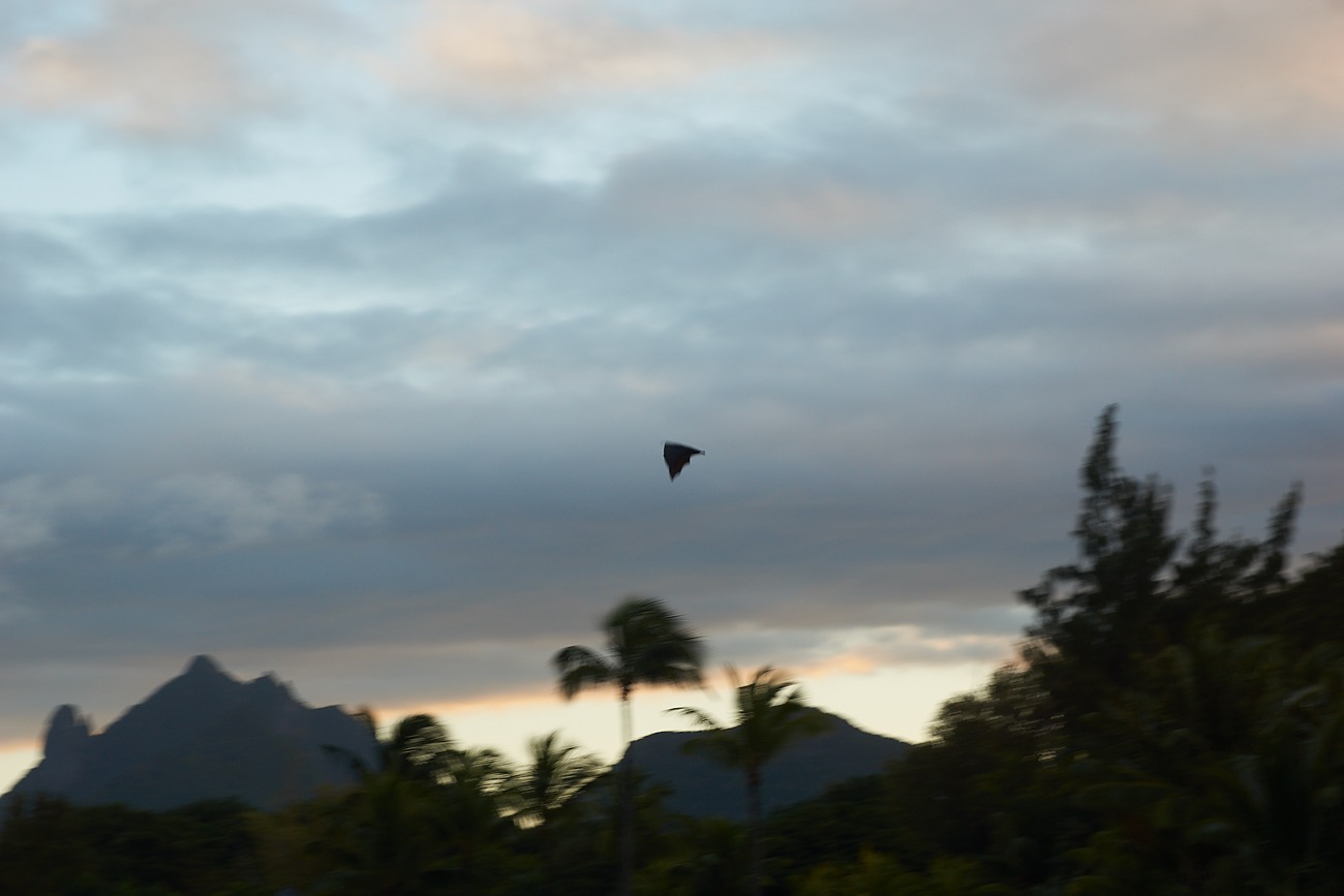 MAURITIUS sony 68.jpg