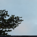 MAURITIUS sony 81.jpg